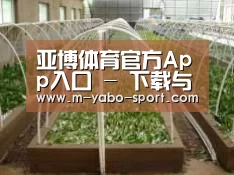 环境展示五