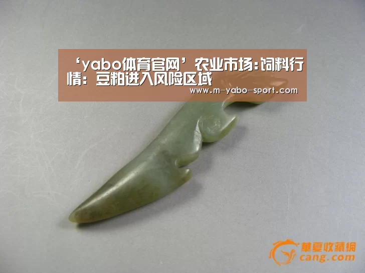 ‘yabo体育官网’农业市场:饲料行情:豆粕进入风险区域(图1) yabo体育app