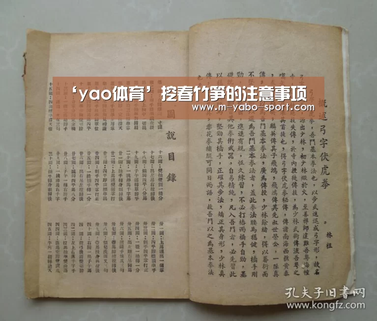 ‘yao体育’挖春竹笋的注意事项(图1) yabo体育直播
